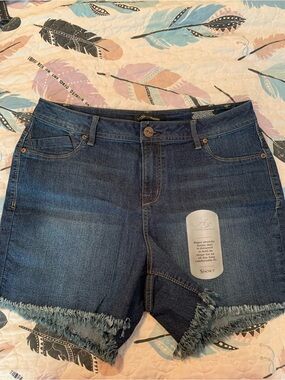 A3 denim Indigo Frayed Hem Denim Shorts